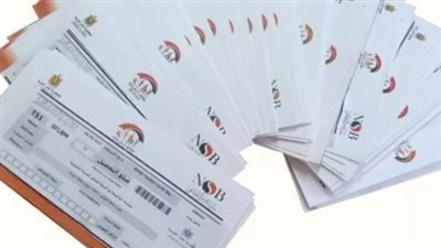 دور برنامج تكافل وكرامة في تعزيز الحماية الاجتماعية للأسر المصرية