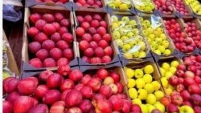 تقرير الأسعار اليومي: حركة بيع وشراء الفاكهة في المحافظات
