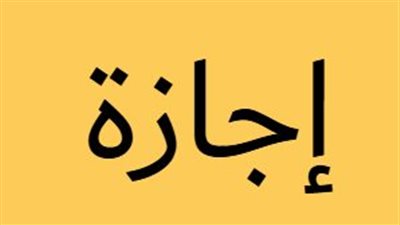 الحكومة: إجازة مدفوعة الأجر لكافة القطاعات في ذكرى الثورة