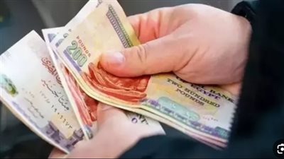 المالية تكشف عن تكلفة زيادة الأجور في موازنة العام المالي الجديد 2026