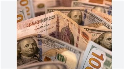 سعر الدولار في البنك المركزي والبنوك الحكومية اليوم 19_7_2026