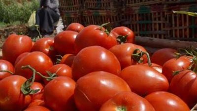 أسعار البطاطس والطماطم والبصل في الأسواق المحلية اليوم