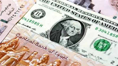 سعر الدولار في البنوك المصرية اليوم.. ثبات ملحوظ وسط استقرار السوق