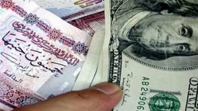 الدولار يستقر أمام الجنيه.. والحكومة تؤكد استمرار تحسن المؤشرات الاقتصادية