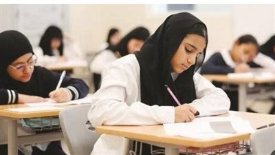 دليلك المتكامل لمعرفة الشعب الدراسية وطرق استلام النتيجة على الهاتف المحمول