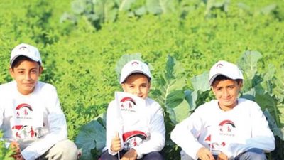تحديث قواعد بيانات الدعم النقدي: استمرار جهود الدولة لتحقيق العدالة الاجتماعية والتنمية المستدامة