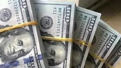 استقرار سعر الدولار في البنوك المصرية اليوم 26_7_2026