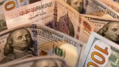 سعر الدولار اليوم الأربعاء 29 يوليو 2026.. آخر تحديث في البنوك المصرية