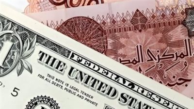 الدولار يواصل الثبات بالبنوك المصرية وسط استقرار سوق الصرف