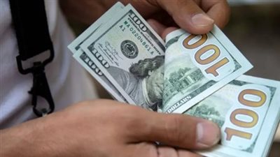 سعر الدولار اليوم في مصر.. استقرار جديد وترقب لحركة الأسواق المقبلة
