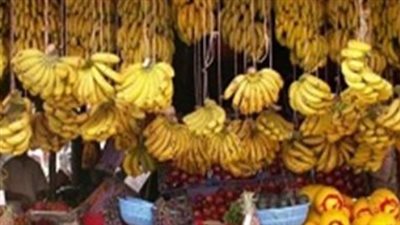 سعر كيلو الموز اليوم.. تعرف على أسعار البلدي والمستورد