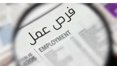 1140 وظيفة جديدة في نشرة وزارة العمل.. رواتب تصل إلى 30 ألف جنيه ومزايا للمغتربين