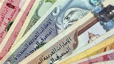 سعر الدرهم الإماراتي في البنك المركزي المصري اليوم 25_8_2026
