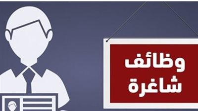 وظائف وزارة العمل 2026.. شروط وراتب وطريقة التقديم على فرص العمل في شرم الشيخ