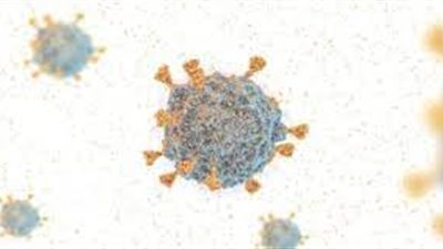 طبيب مصري: مؤشرات إيجابية توحي بأن السيطرة على كورونا ستبدأ منتصف هذا العام