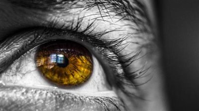 ما هي علاقة الوجبات السريعة وتعرض الأشخاص للإصابة بالعمى؟