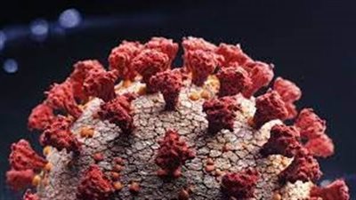 علماء يحدوون التغييرات الهيكلية الدقيقة في بروتين 