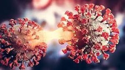 ما هي آخر تطورات خطورة 