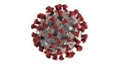 هل يوجد نظام غذائي سحري يساعد في علاج 