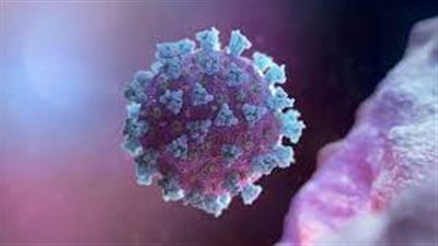 خبيرة: فيروس كورونا فقد خلال تحوارته القدرة على اختراق أنسجة الرئتين