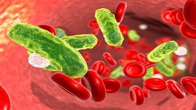 دراسة تكشف العلاقة بين فيروس كورونا وفيروس نقص المناعة البشرية