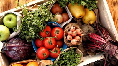 ما يجب أن يتناوله مريض السرطان أثناء العلاج الكيماوي