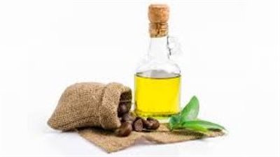 زيت الكاميليا.. يساعد على التمتع ببشرة نضرة ومخملية وشعر كثيف ولامع