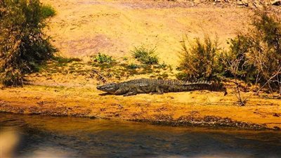 جنة الله في الأرض.. ألبوم صور يكشف حياة أهالي النوبة جنوب مصر