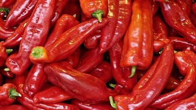 فوائد ومضار الأطباق الحارة.. طبيبة روسية تُجيب