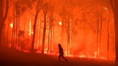 وماتزال مشتعلة،. تعرف على التفاصيل الكاملة حول حرائق الغابات الطارئة في أستراليا