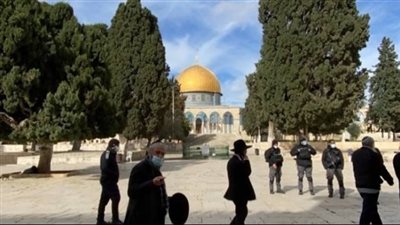 مستوطنون يقتحمون المسجد الأقصى