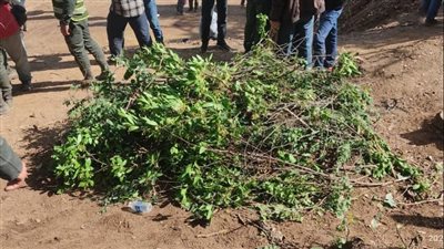 جثمان الطفل المغربي ريان يوارى الثرى لمأواه الأخير