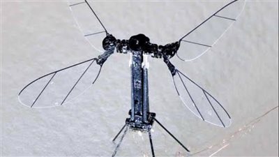 يعمل بمحرك كهروميكانيكي.. روبوت على شكل حشرة يخفق بجناحيه في بريطانيا