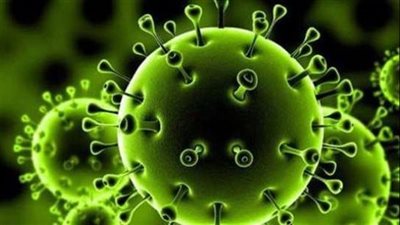 مصر: 2145 إصابة جديدة بكورونا و59 حالة وفاة