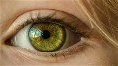  العلماء يحققون اختراقًا علميًا حديثًا في تقنية العين الإلكترونية