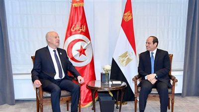 دعم جهود تونس الأبرز.. تفاصيل لقاء السيسي مع الرئيس التونسي
