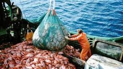 كم بلغ الإنتاج السمكي بالمغرب في 2021؟