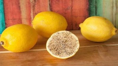 هذا ما يحدث عند وضع شرائح الليمون بجانب السرير أثناء النوم