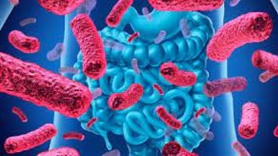 ما هي أعراض وأسباب فرط النمو البكتيري في الأمعاء الدقيقة؟