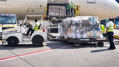 شاهد.. مصر تحصل على مليونين و158 ألف جرعة من لقاح 