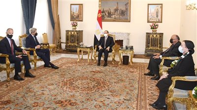 السيسي يستقبل جون كيري للتشاور حول 