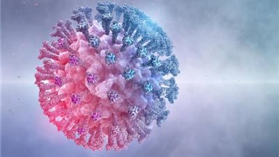 طبيب: من المحتمل أن تكون المناعة الجماعية ضد 