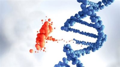  دراسة: متغيرات جينية تولد معنا يمكن أن تجعل البعض يواجه مرضا خطيرا من كورونا