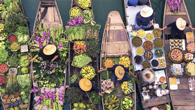 طبيبة: الأكل الصحي والنشاط الجسدي خطوتان نحو مناعة قوية