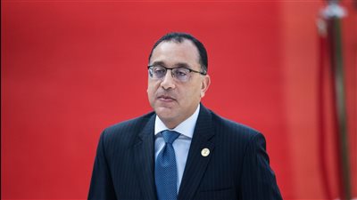  الحكومة المصرية تعكف حاليا على دراسة تداعيات الأزمة الروسية ـ الأوكرانية