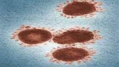 دراسة تكشف عن 