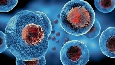 باحثون يستخدمون الموجات الصوتية لتحويل الخلايا الجذعية إلى خلايا عظمية