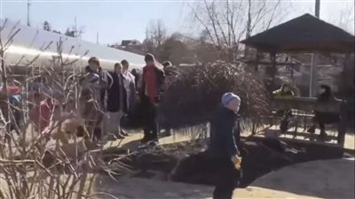 أكثر من 4.2 ألف لاجئ من دونباس عبروا حدود روسيا.. خلال هذه الفترة