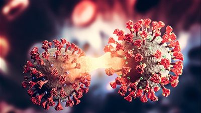  وزارة الصحة المصرية تعلن عن تسجيل 48 وفاة و1521 إصابة جديدة بكورونا 