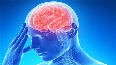  السلطات الصحة في أستراليا تحذر من مرض التهاب الدماغ الياباني الذي ينقله البعوض